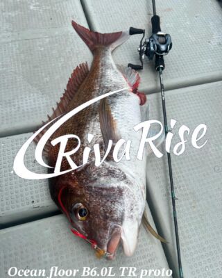 RivaRise_リバライズ | Fishing Gear RivaRise. MADE IN JAPAN. ロッド